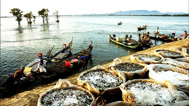  Hội thảo tham vấn quản lý tổng hợp lưu vực sông và vùng bờ biển