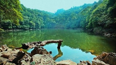  Khu Bảo tồn thiên nhiên Kim Hỷ - Bắc Kạn vẫn bị tàn phá