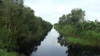   Đắp đập giữ nước cho rừng tràm U Minh Hạ