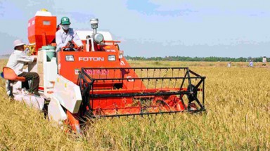   Nhân Ngày Thế giới chống đói nghèo: Hướng đến sự đột phá trong các chính sách giảm nghèo