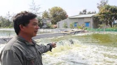  Vòng luẩn quẩn của dịch bệnh và ô nhiễm môi trường ở Quảng Nam