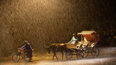  Thời tiết ngày 13 tháng 10: Mưa to đến rất to ở các tỉnh từ Nghệ An-Thừa Thiên Huế 
