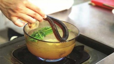  Ăn lươn nuôi bằng thuốc tránh thai có khiến trẻ dậy thì sớm?