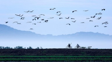  Thời tiết ngày 23 tháng 10: Các tỉnh Bắc bộ, Trung bộ có sương mù, Nam Bộ mưa về chiều tối và đêm