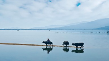  Thời tiết ngày 22 tháng 10: Nam Bộ có mưa rào và dông, khả năng vẫn xảy ra lốc xoáy, gió giật