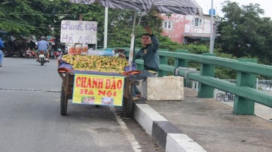  Chanh đào Hà Nội loạn giá ở Sài Gòn