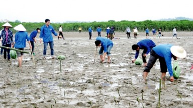  Tập huấn đánh giá tác động đa dạng sinh học trong đánh giá tác động môi trường
