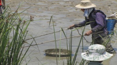 Hà Tĩnh: Đi kích điện bắt cá, hai vợ chồng chết thảm trên sông