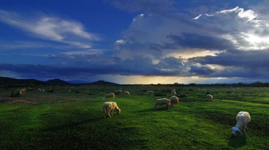 Thời tiết ngày 15 tháng 10: Bắc bộ tăng nhiệt, Tây Nguyên và Nam bộ có nơi mưa to đến rất to