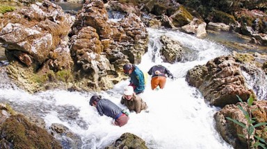  Quảng Bình: Những phận người mò ốc đá mưu sinh