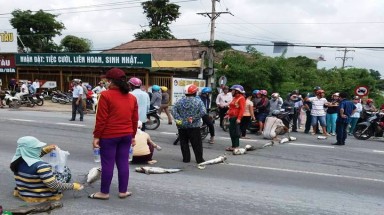 Bà Rịa - Vũng Tàu: Dân mang cá chết chặn quốc lộ, giao thông ách tắc 