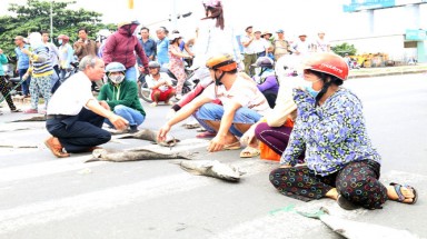 Bà Rịa-Vũng Tàu: Dân phản ứng kết luận nguyên nhân cá chết