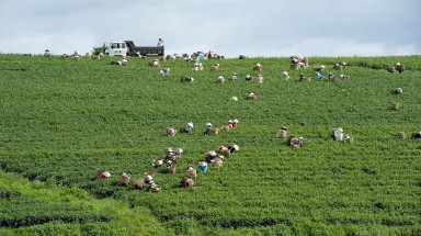   Tây Nguyên, Nam Bộ vẫn có mưa to và dông, Nam Biển Đông đề phòng lốc xoáy, gió giật 