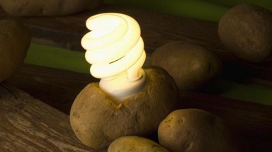  Thắp sáng đèn led bằng khoai tây