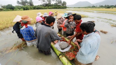 Bữa ăn trên ruộng nước