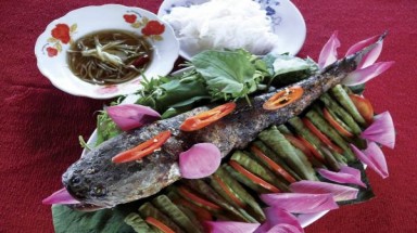 Mở ruộng sen đón khách “chơi sen”