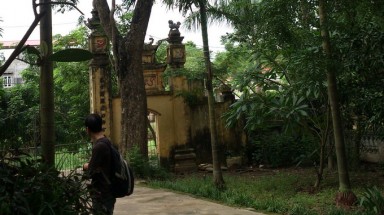  Bắc Ninh:Nghiêm cấm khai thác cây gỗ sưa trong khuôn viên đình Đông Cốc