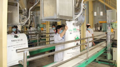 Đề nghị Hoàng Anh Gia Lai đưa đường về Việt Nam theo dạng quota