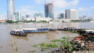  Sông Sài Gòn bị giết