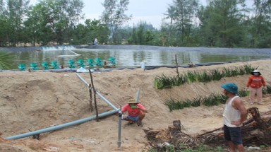  Quảng Nam: Phá rừng phòng hộ nuôi tôm