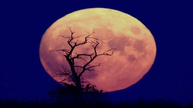 NASA sắp lập vườn rau trên mặt trăng