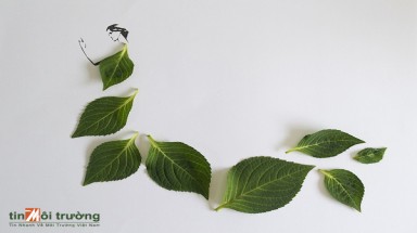 Thời trang sáng tạo từ những chiếc lá