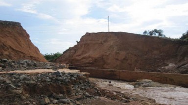  Rừng mất tích, cao su "khóc" chờ tin Bộ trưởng Nông nghiệp