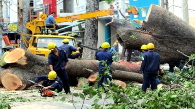  TP HCM: 4 công ty công ích bị thu hồi gần 46 tỷ đồng