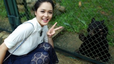  Thêm bốn khu bán tự nhiên chăm sóc gấu tại Tam Đảo