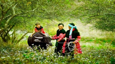  Cuộc thi ảnh về đề tài “Rừng và con người”