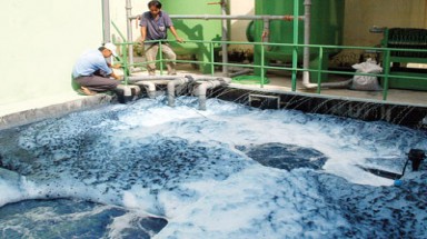  Công ty Phát triển hạ tầng khu công nghiệp Sóc Trăng gây ô nhiễm nghiêm trọng