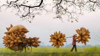  Thành lập Tổ đồng quản lý môi trường sinh thái đầu tiên ở Đồng bằng sông Cửu Long
