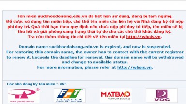  Tạm ngừng hoạt động 7 trang thông tin điện tử
