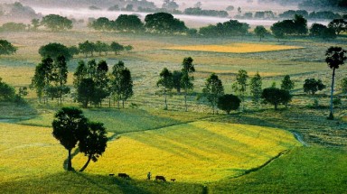 Kết quả bước đầu từ dự án ứng phó biến đổi khí hậu ở rừng và đồng bằng Việt Nam