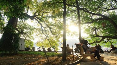  Thời tiết ngày 14/11: Miền Bắc trời khô ráo, Nam Trung bộ có mưa to và dông