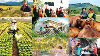  Dự báo những tin chính trong nước ngày 23/11/2014