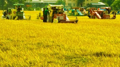   Sóc Trăng: Thêm 1 xã điểm về đích sớm trong xây dựng nông thôn mới