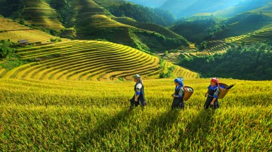  Bộ đội Biên phòng giúp đồng bào vùng cao xóa đói giảm nghèo