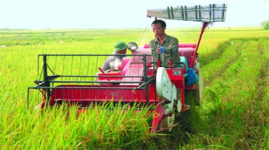  Chung sức xây dựng nông thôn mới: Long Hữu phấn đấu đạt chuẩn vào cuối năm 2014