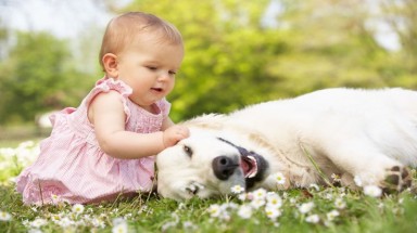 Bộ ảnh xúc động về tình bạn giữa chó và trẻ em
