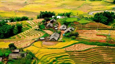  Thời tiết ngày 11 tháng 11: Vùng núi phía Bắc mưa to, vùng biển phía Nam có nguy cơ lốc xoáy và gió giật mạnh