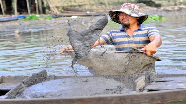  Ngâm mình dưới nước ô nhiễm đãi trùn chỉ mưu sinh