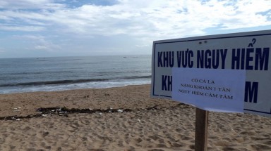   Tuy Hòa cấm tắm biển vì cá lớn xuất hiện gần bờ
