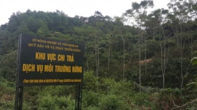  Cần thiết phải đánh giá độc lập hiệu quả chi trả dịch vụ môi trường rừng