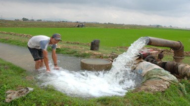  Đồng Nai khẩn trương phòng chống hạn hán và xâm nhập mặn