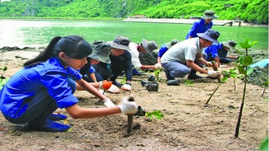 Đề xuất các giải pháp ứng phó và giảm nhẹ hậu quả của biến đổi khí hậu