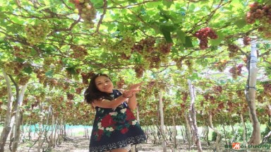  Thời tiết ngày 22 tháng 11: Bắc bộ trưa chiều hửng nắng, Nam bộ mưa nắng gián đoạn cả ngày
