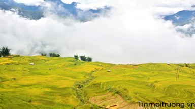  Thời tiết ngày 15 tháng 11: Bắc bộ ngày không mưa, nhiệt độ tăng lên 2 độ C