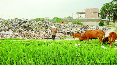  Hướng đi mới trong xử lý rác thải nông thôn ở Hải Phòng