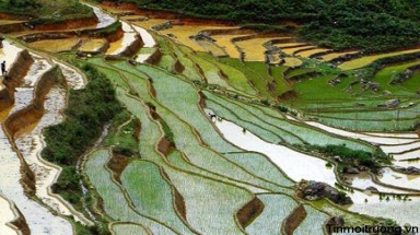  Thời tiết ngày 13 tháng 11: Bắc Bộ trời trở lạnh, vùng núi có nơi mưa rất to